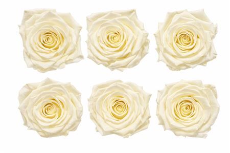 Ro Pres Classic Creme