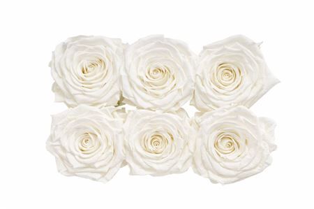 Ro Pres Classic Ivory
