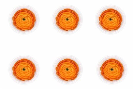 Ran Pres Orange