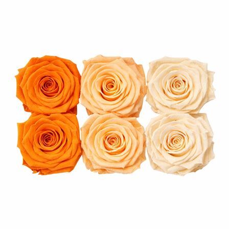 Ro Pres Classic Mix Orange