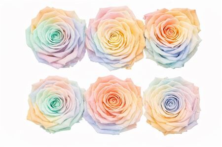Ro Pres Classic Rainbow Pastel