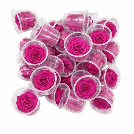 Ro Pres Medium Fuchsia