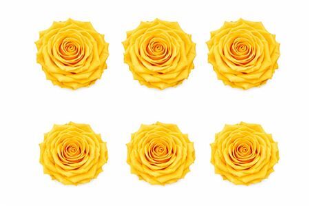 Ro Pres Classic Yellow Gold