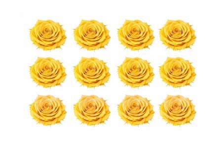 Ro Pres Mini Yellow Gold