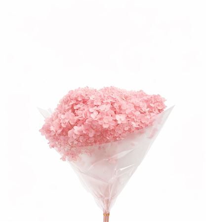 Pres Hydrangea Pink 25-30cm Bunch