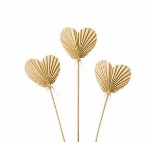 Dried Palm Heart 10pcs Naturel Bunch