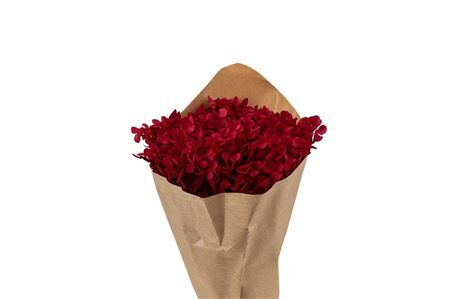 Pres Hydrangea Bordeaux Bunch