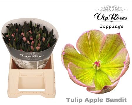 Tu En Rv Apple Bandit