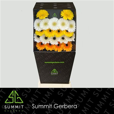 Ge Mi Mixed Yellow Diamond