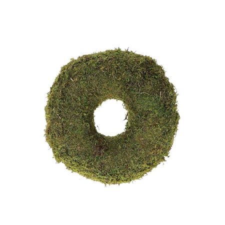 d24cm Moss