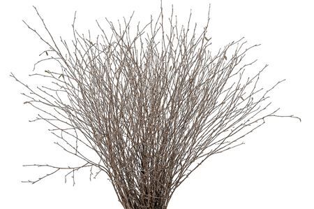 Berk 70cm Naturel Pbs
