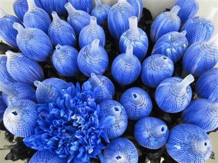 Chr G Antonov Blauw