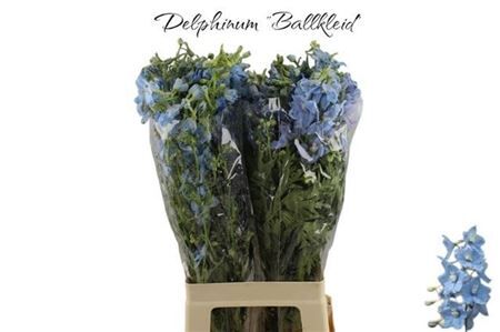 Delph En Ballkleid
