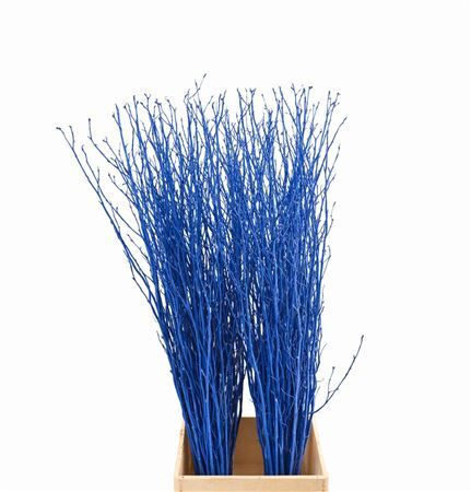 Berk 70cm Donker Blauw