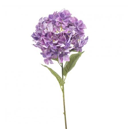 Hydrangea 90cm