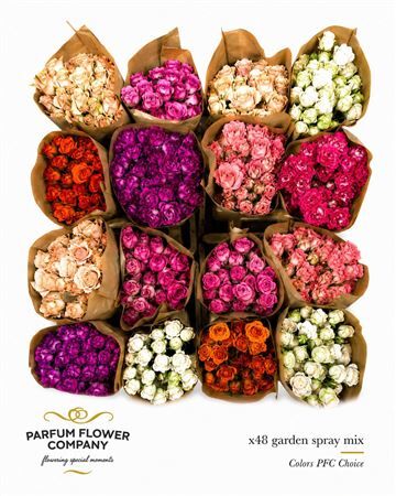 Rosa Spray Garden Mix Blik
