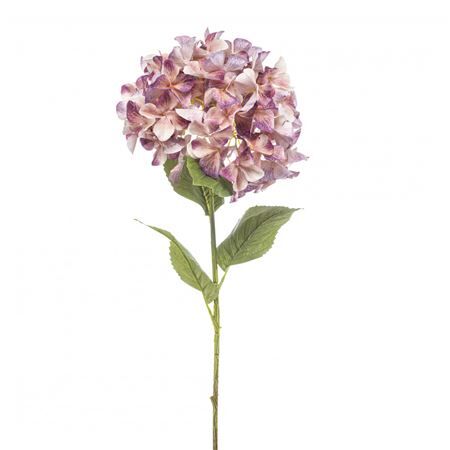 Hydrangea 90cm