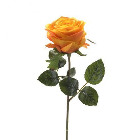 Rosa 45cm