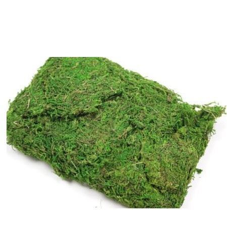 Moss 250g