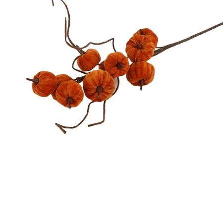 Citrouille sur tronc 70cm