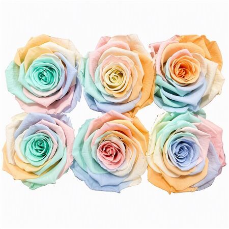Ro Pres Classic Rainbow Pastel