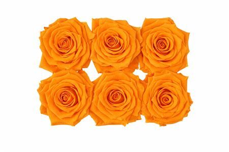 Ro Pres Classic Orange