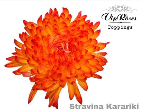 Chr G Stravina Kakariki