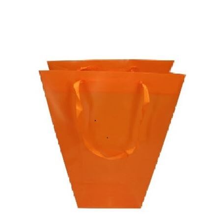 Clear 24/11*26cm