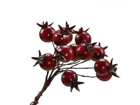 Berry/wire d1.8cm x72