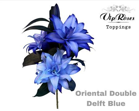 Li Or Du Double Delft Blue