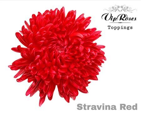 Chr G Stravina Red