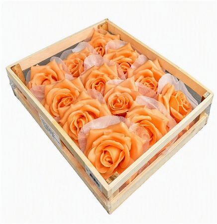 Deco Wax Rose Peach D10
