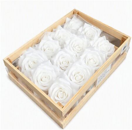 Deco Wax Rose White D10