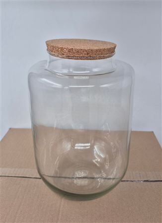 Glass Terrarium Cork D21 H30