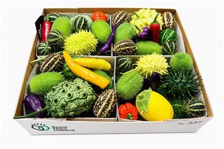 Sier Cucumis Mix Spec X4 Holl