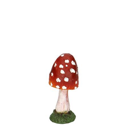 Champignons 8cm