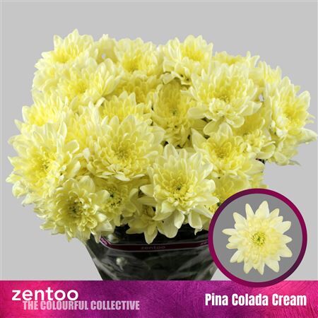 Chr T Pina Colada Cream