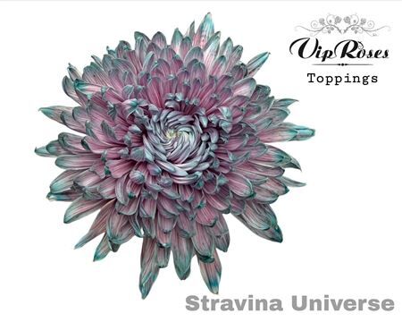 Chr G Stravina Universe