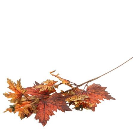 Branche d'érable 73cm