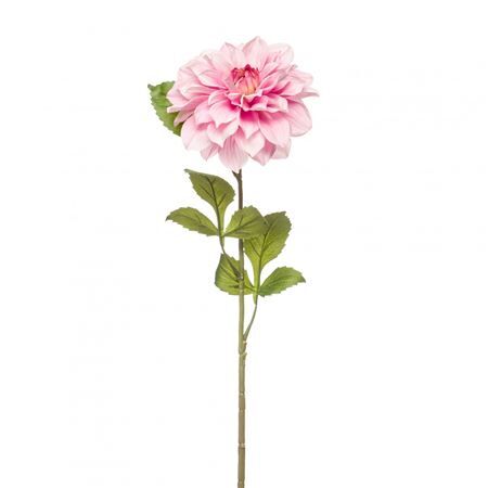 Dahlia 72cm