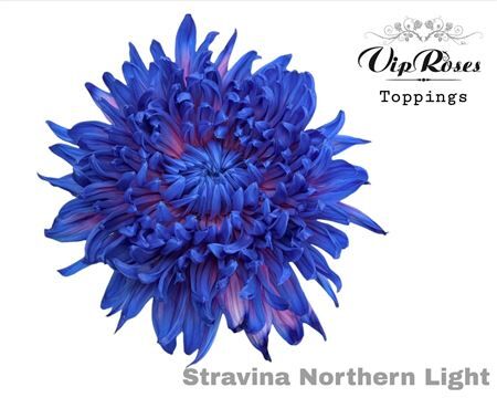 Chr G Stravina Northern Light