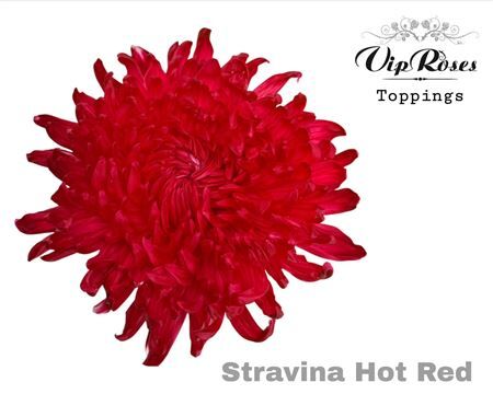 Chr G Stravina Hot Red