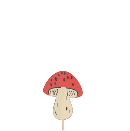 10cm Mushroom 5*7cm