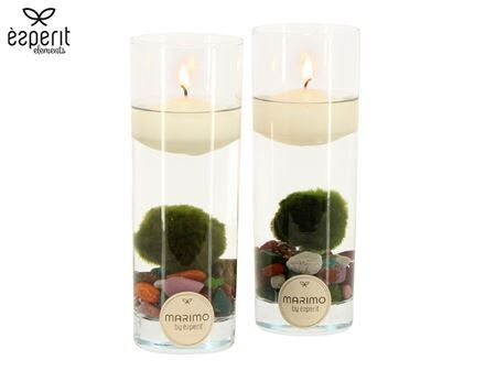 Arr Marimo 91080
