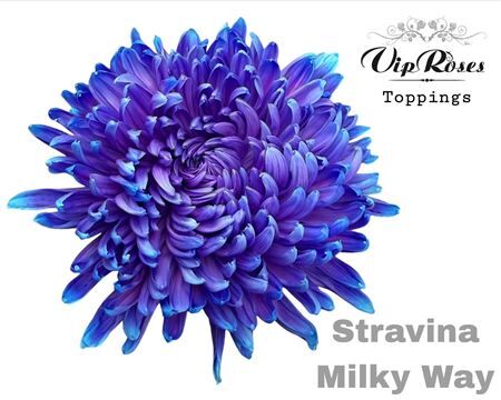 Chr G Stravina Milky Way