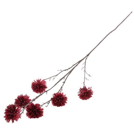 Dahlia Charm 120cm