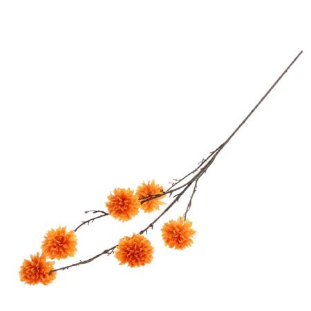 Dahlia Charm 120cm