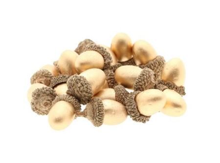 Acorn 20pcs