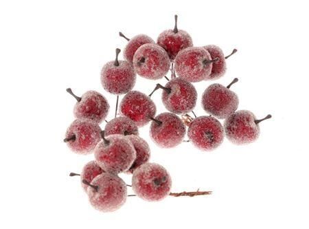 Stem Apple 20 Pcs L10d3