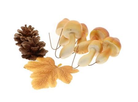 Hobby Mushroom+pinecone+leaf 9pcs